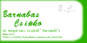 barnabas csipko business card